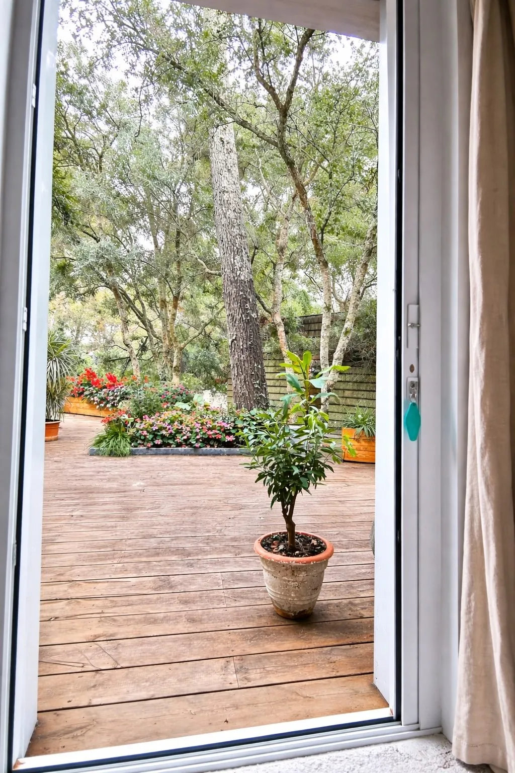 Vue depuis la Chambre Cosy : porte-fenêtre ouverte sur la terrasse fleurie