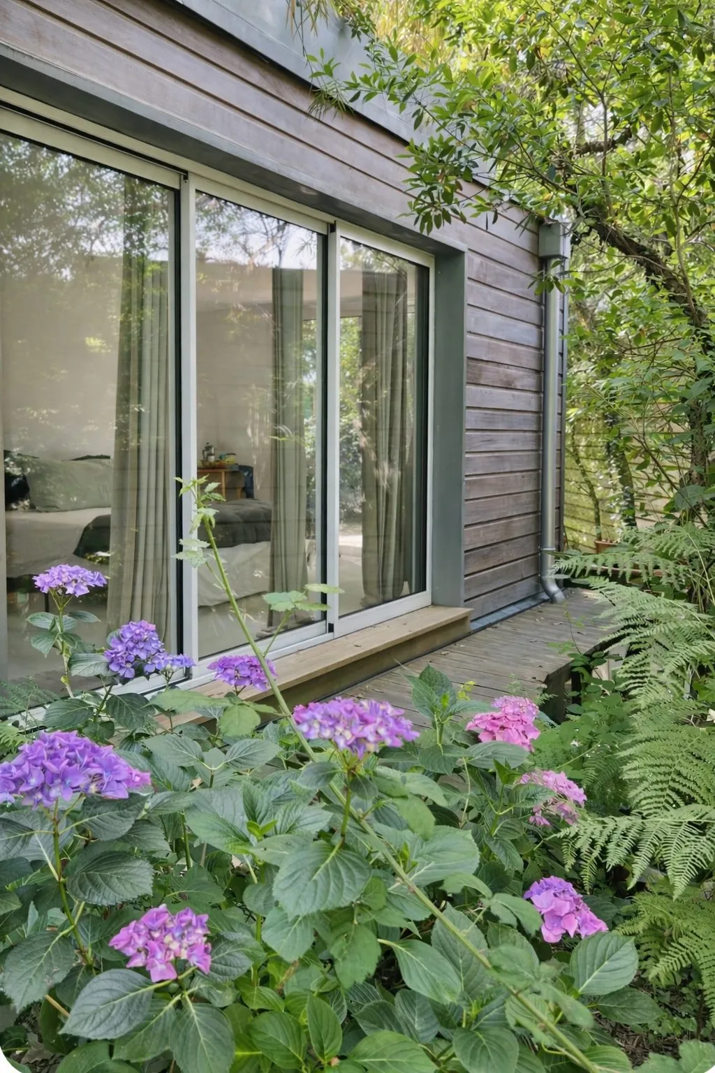 Terrasse bois de la Chambre des Pins bordée d'hortensias et de fougères